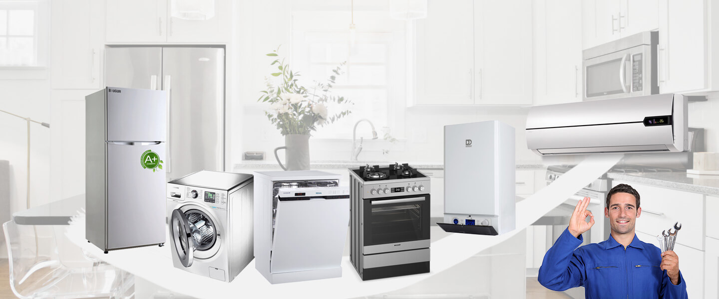 Manyas Grundig Servisi